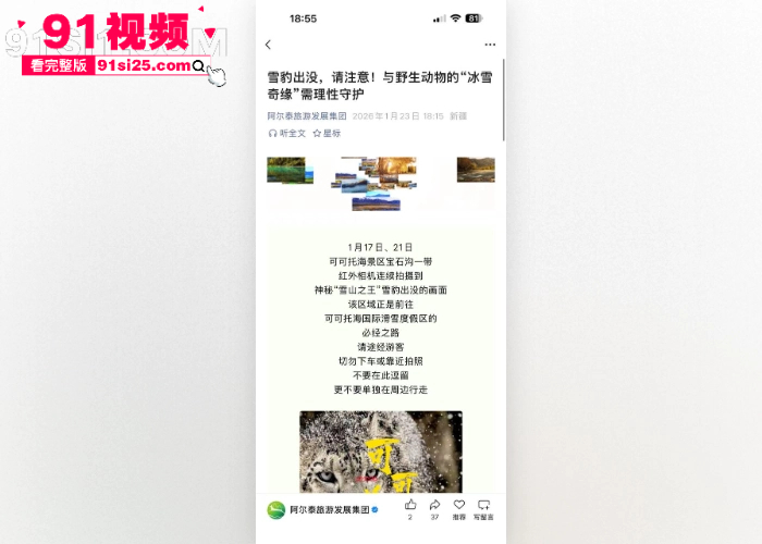 新疆可可托海突发雪豹伤人事件 女游客无视警示牌触摸猛兽 被突袭咬伤面部 血染滑雪服惨遭毁容现场视频流出 - 图8