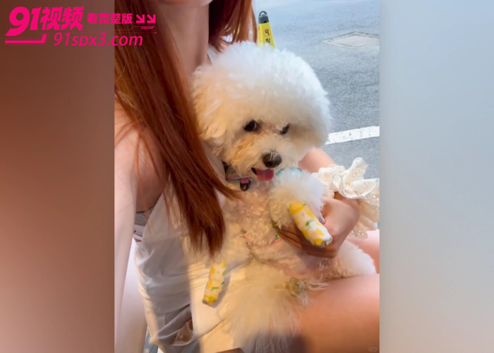 石家庄舞蹈老师分手后被渣男曝光性爱视频 沉醉吃鸡无法自拔 掰着肥臀被暴力撞击淫荡至极 - 图4
