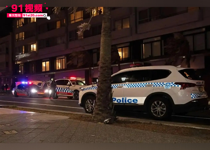 澳大利亚悉尼邦迪海滩发生恐怖枪击事件 两名枪手像人群开枪目前已导致多人死亡 现场画面曝光堪称人间炼狱 - 图9