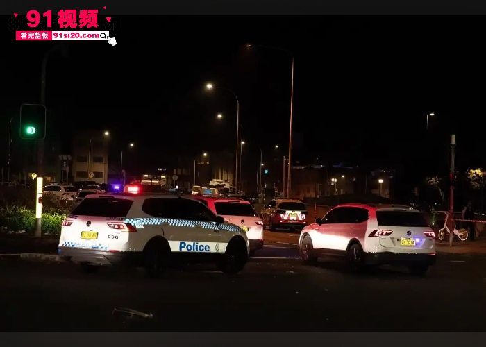 澳大利亚悉尼邦迪海滩发生恐怖枪击事件 两名枪手像人群开枪目前已导致多人死亡 现场画面曝光堪称人间炼狱 - 图10