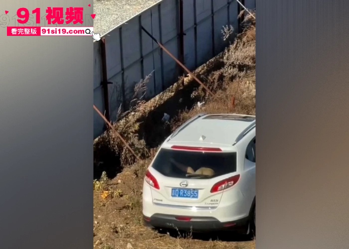抖音超火的辽源吉DR3855车主野外车震完整版视频流出 女主圆润大屁股被内射完 下车尿尿清理精液也不知道是偷情还是夫妻 - 图3