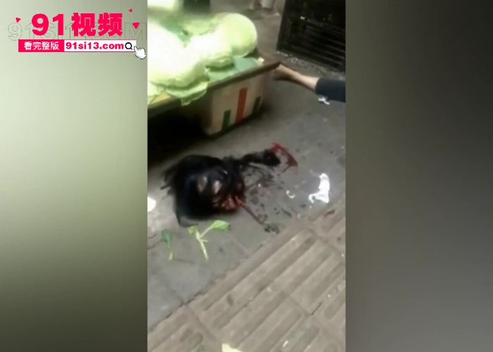 重庆大瓜 大渡口马王坪菜市场砍头惨案 男方二婚甩女友 年轻女孩遭前女友分尸现场视频流出胆小慎点 - 图5