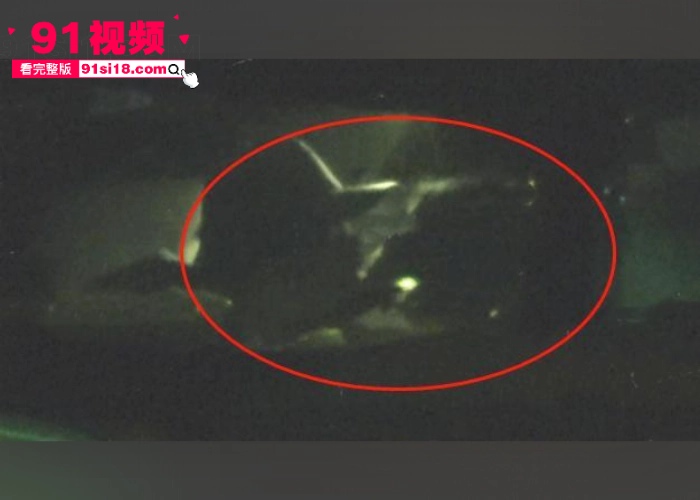 中国内地女演员 张俪 新剧全裸露背冲上热搜 私下约会当红小鲜肉 杨旭文 玩车震视频被瓜友们扒出 这是刚火就塌房啊 - 图16