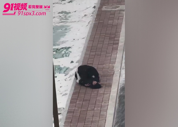 东北大学惊现情侣吵架 女主一言不合就脱衣露臀 被男友强行抱走带回家调教了 ，看这臀型应该操起来挺舒服 - 图6