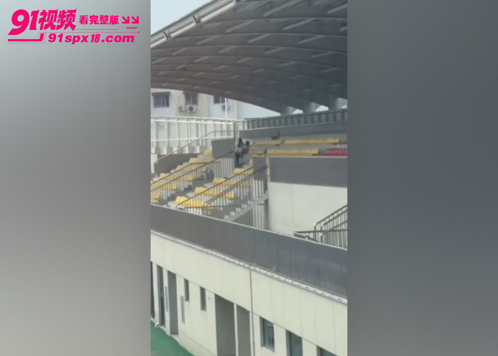 河南开封体育中心 看台座椅上小情侣大白天直接野战开操 现场画面被偷拍疯传 - 图1