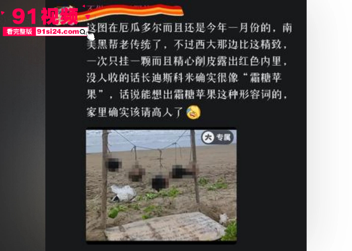 糖霜苹果背后竟是血腥斩杀线？牢A揭秘北美黑帮最残忍秘闻 三妹当场破防 这才是真实的美国底层 - 图2