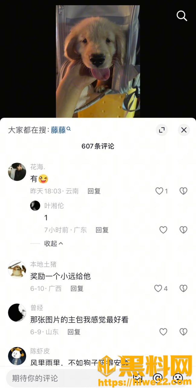 藤藤菜最新福利13