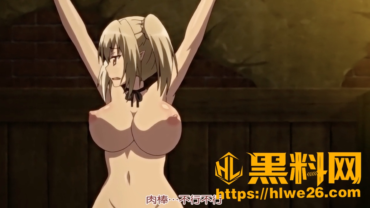 圣骑士露维利亚斯4