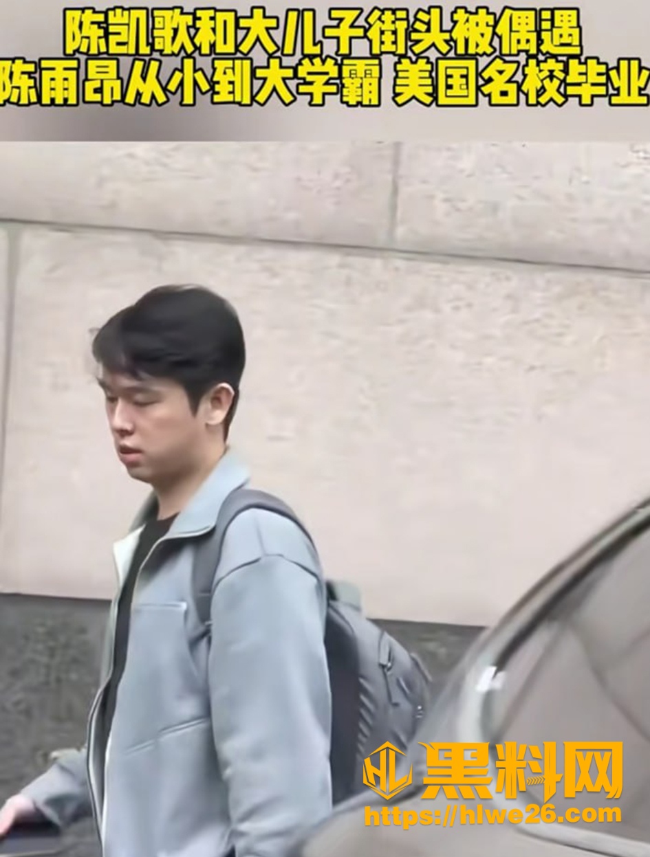 蓝盈莹新恋情曝光事件 5