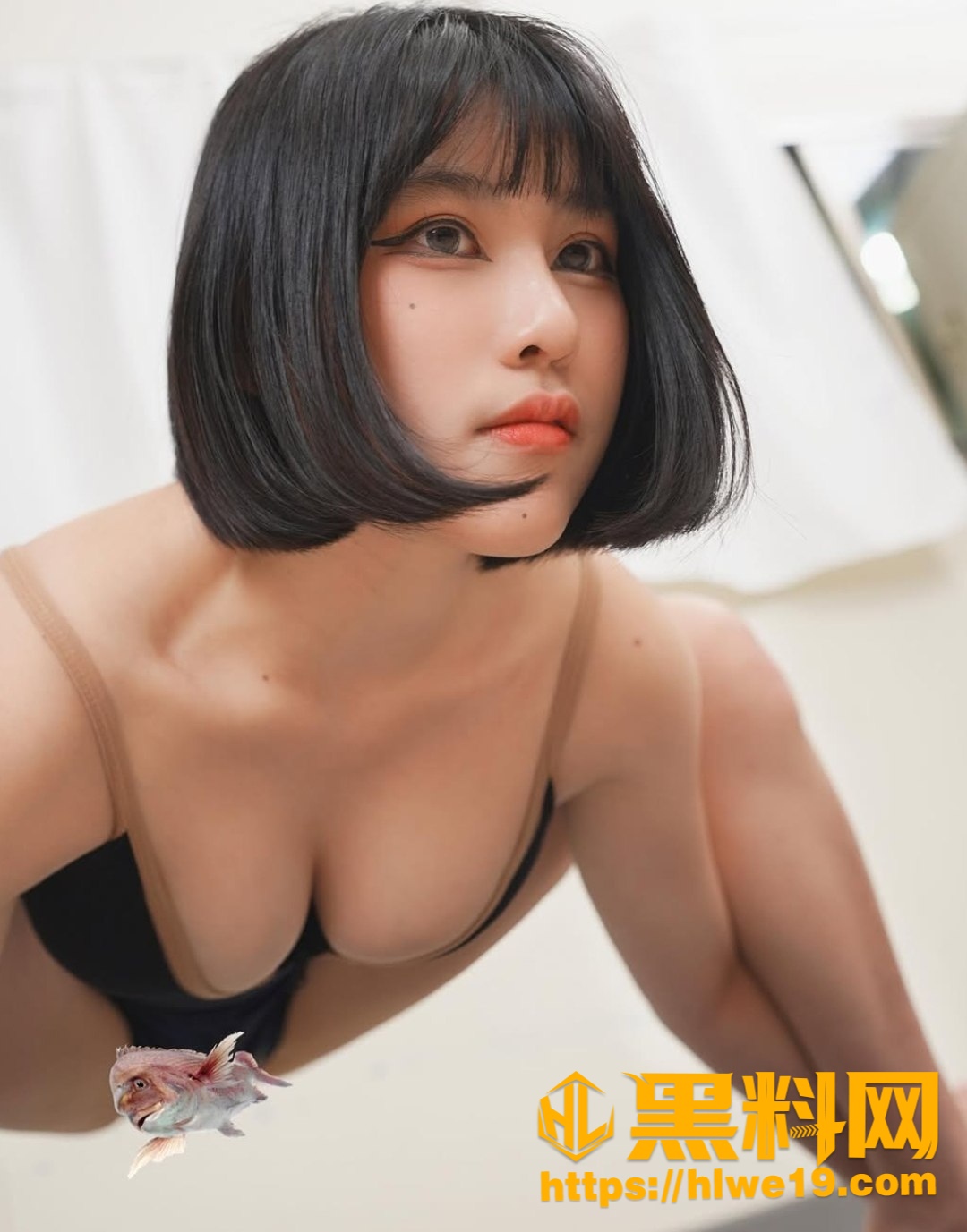波奇