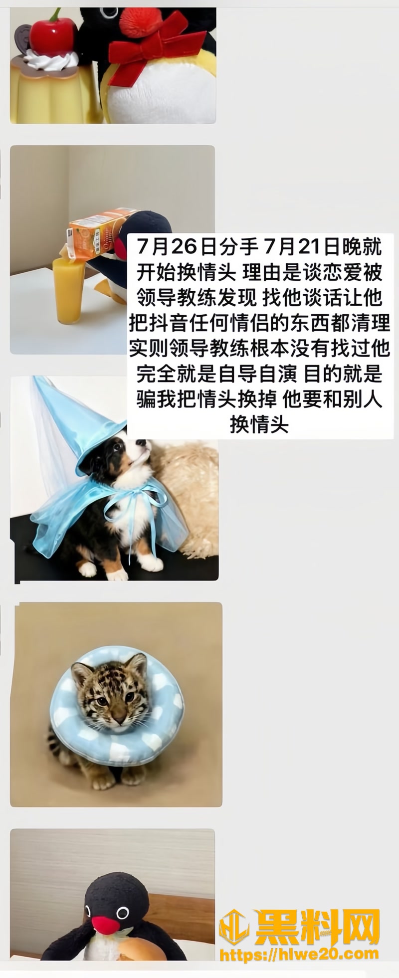 15游泳队2 5wm