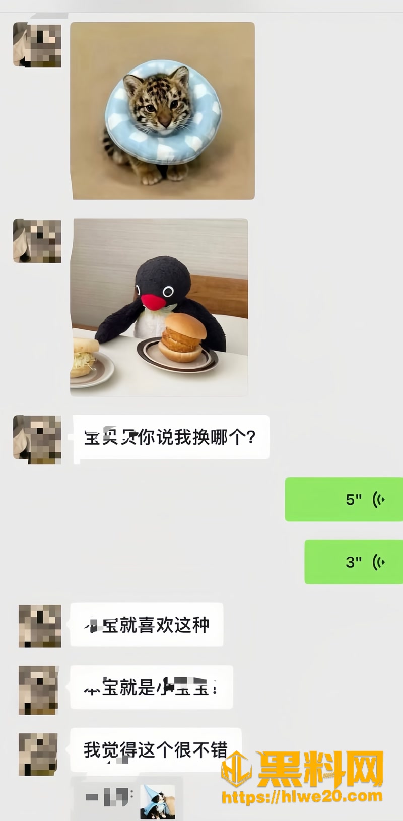 16林繁绿2 6wm