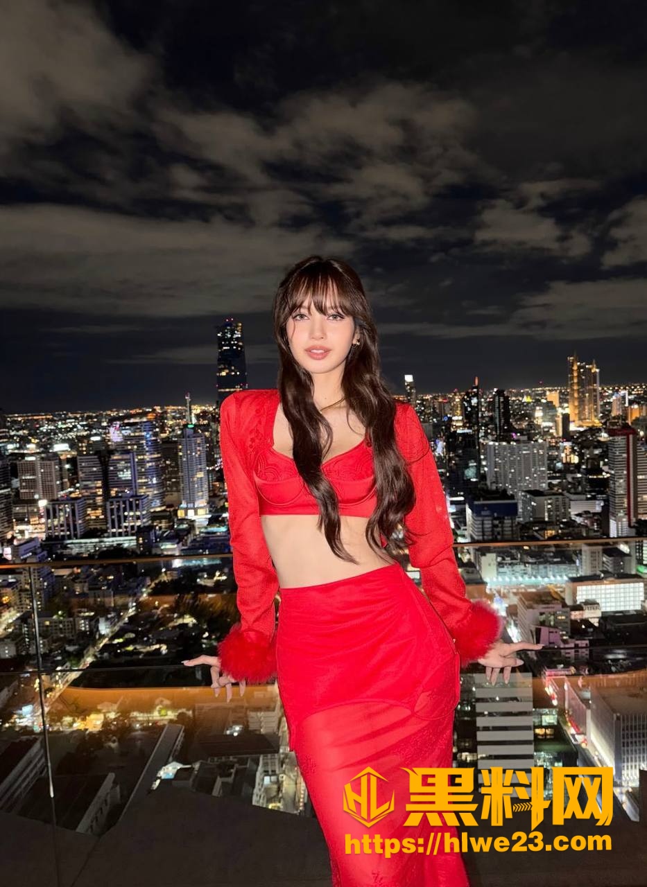 Lisa男友Netflix