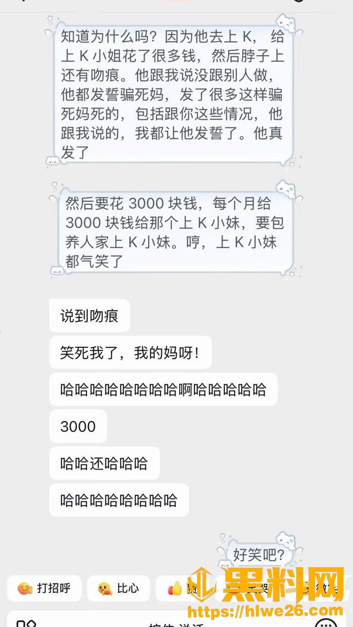 玩具博主31