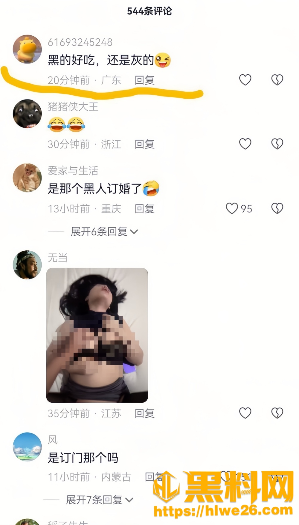 软软星24