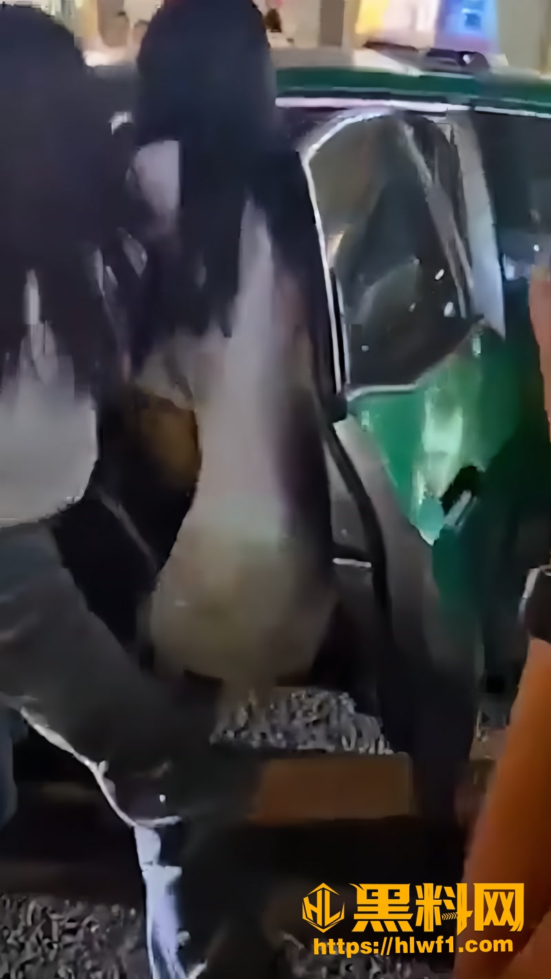 02烟台莱阳公务员当街捉奸1 2wm