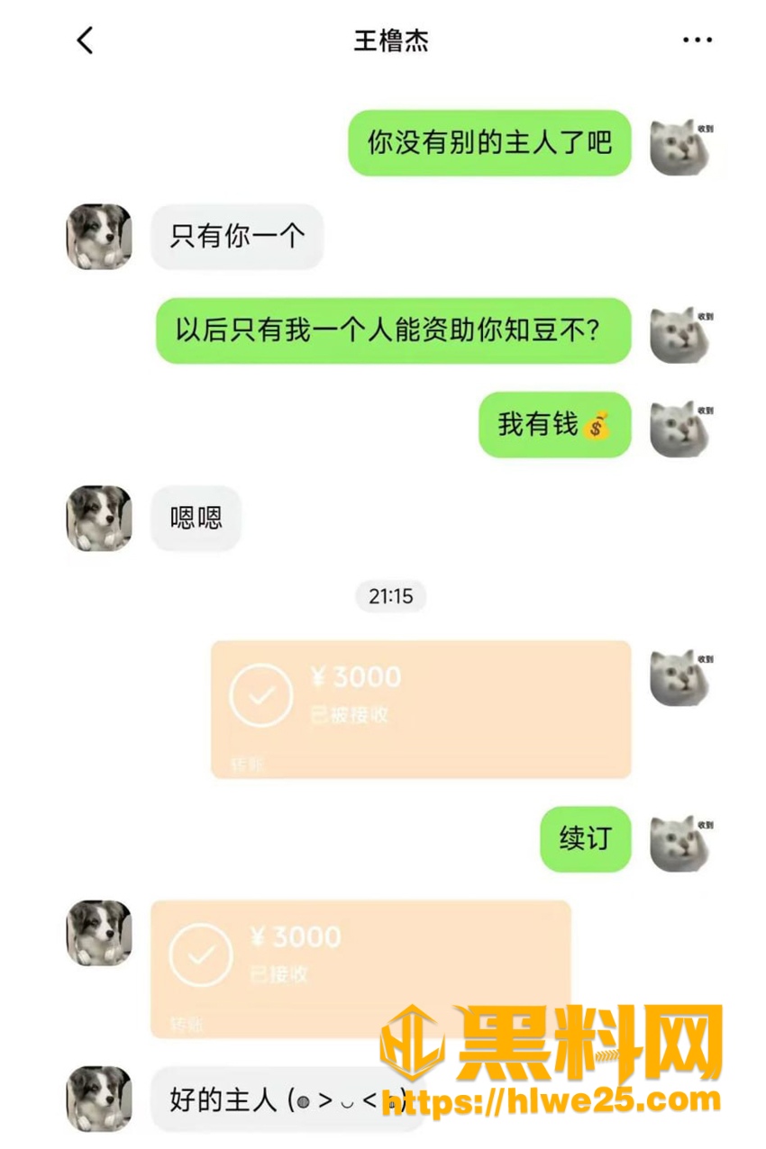 聊天记录曝光 4