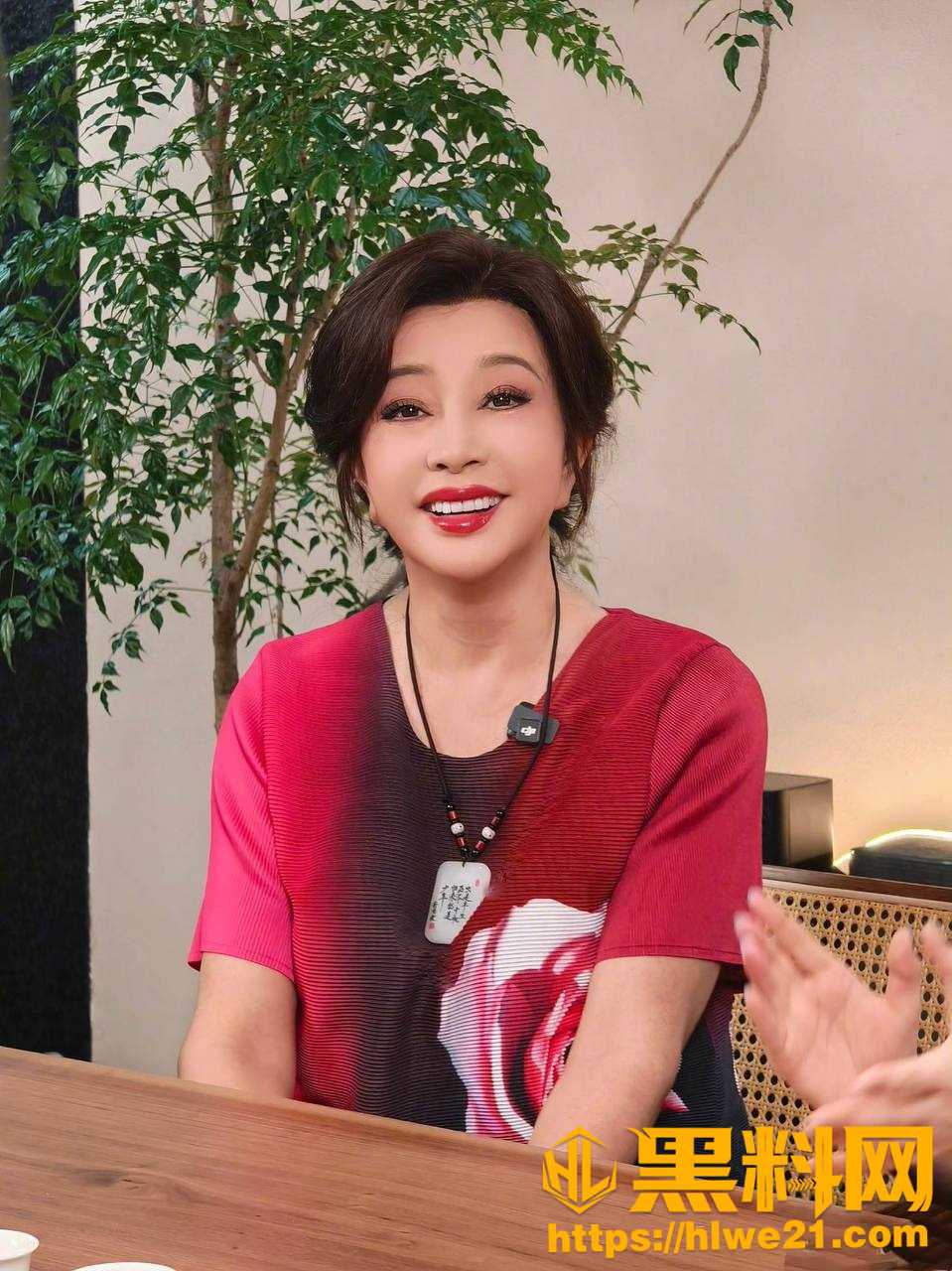 古柯曝光与刘晓庆聊天记录6
