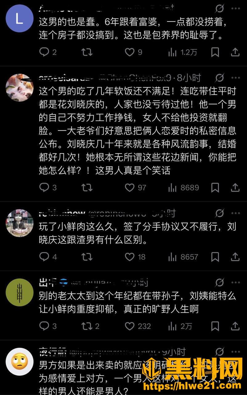 刘晓庆古柯事件24