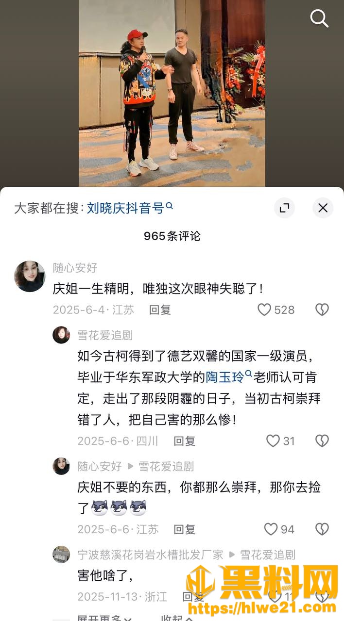 刘晓庆古柯事件28