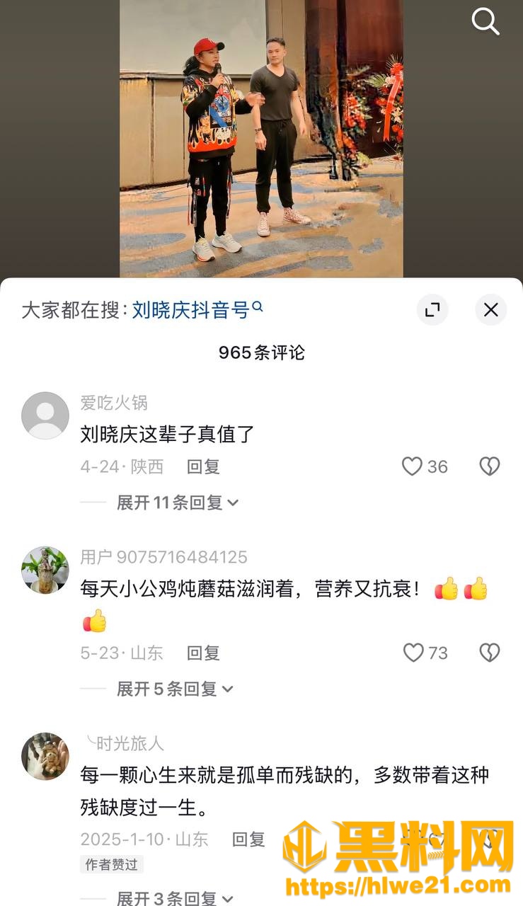 刘晓庆古柯事件29