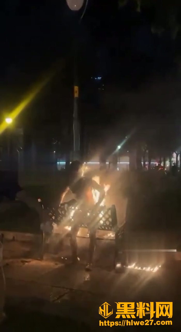 圣母大教堂深夜自焚