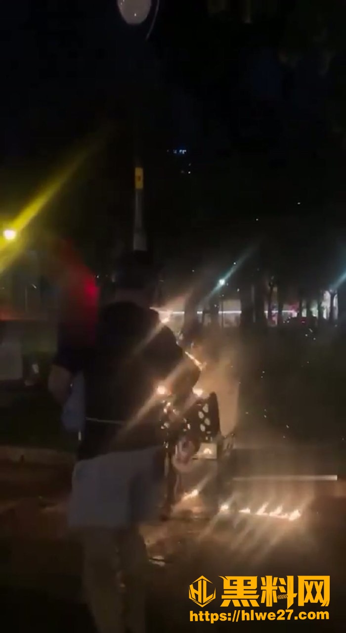 越南胡志明自焚惨案