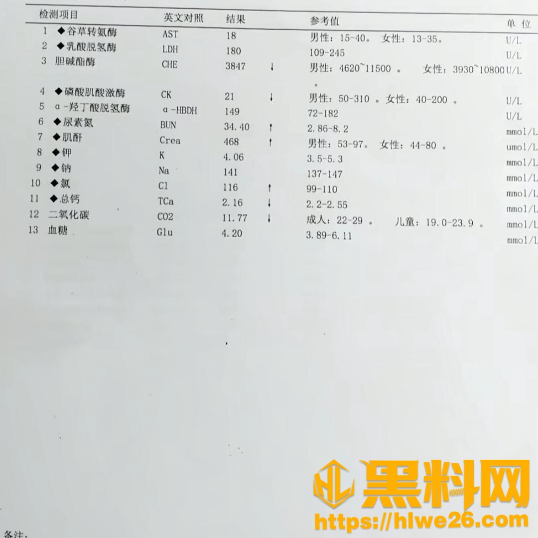 与母缠绵8085集7