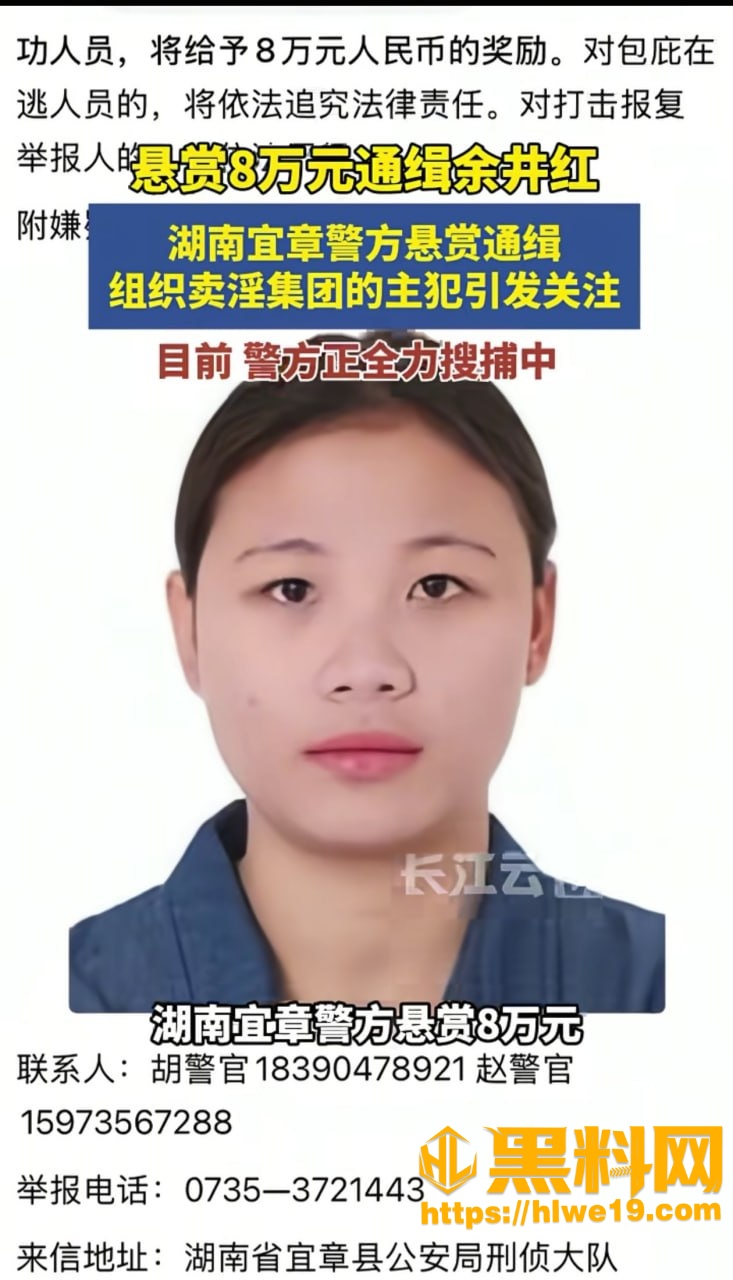余井红组织卖淫被通缉2