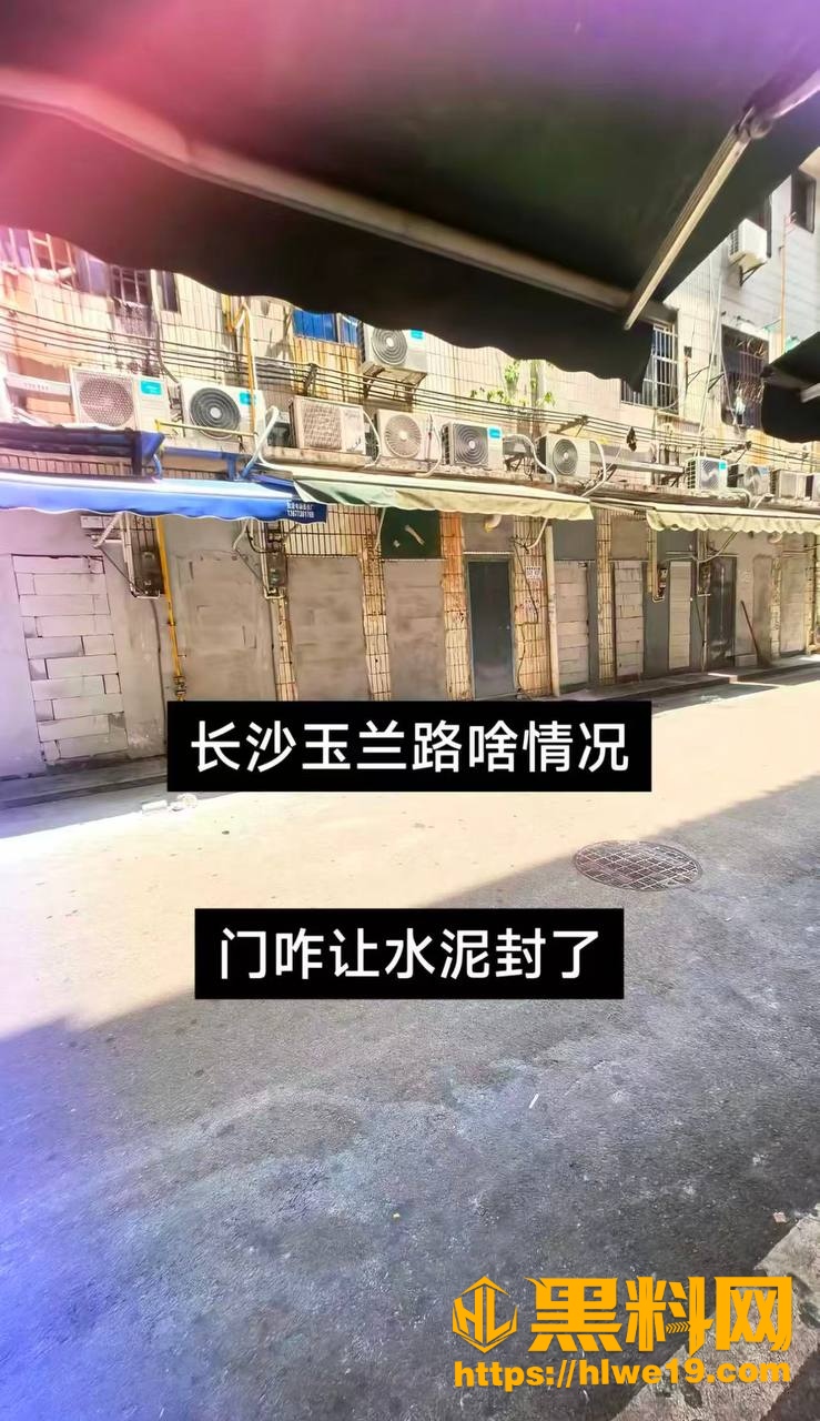 玉兰路