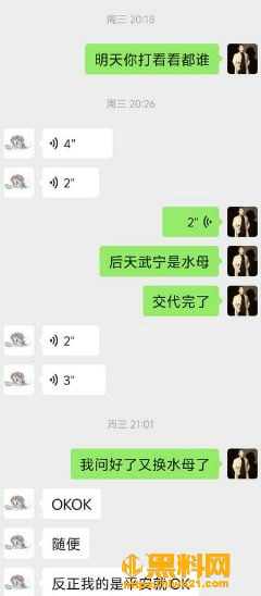 沈阳剧本杀pdf  1