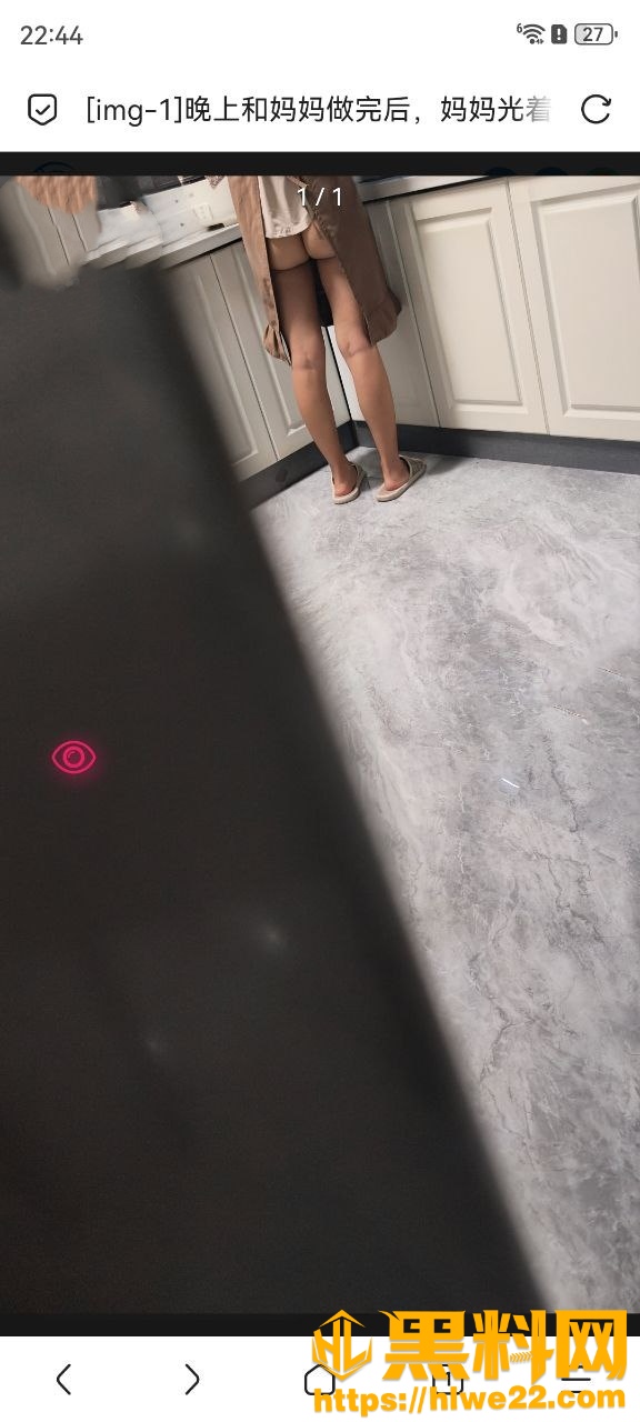 相依为命的母子6670集8