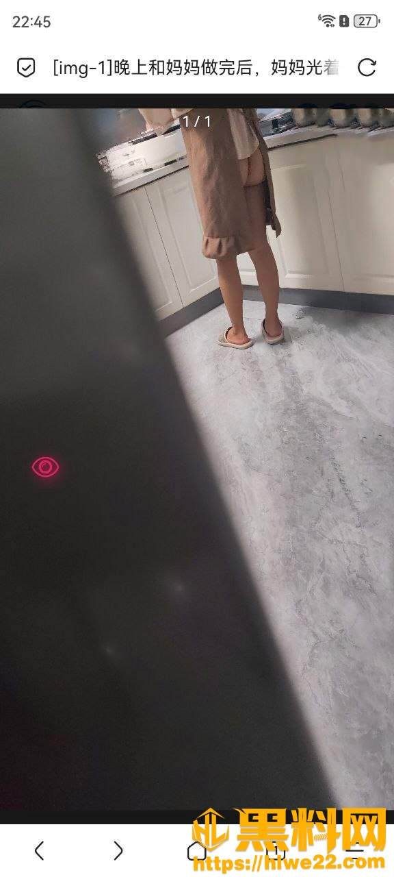 相依为命的母子6670集12