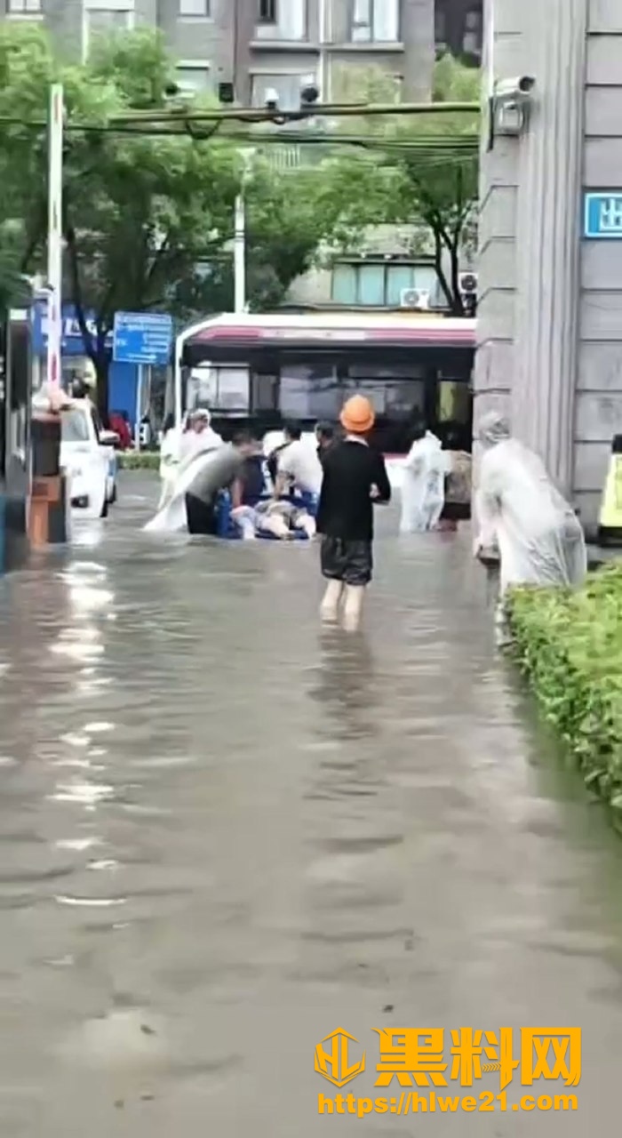 白海豚