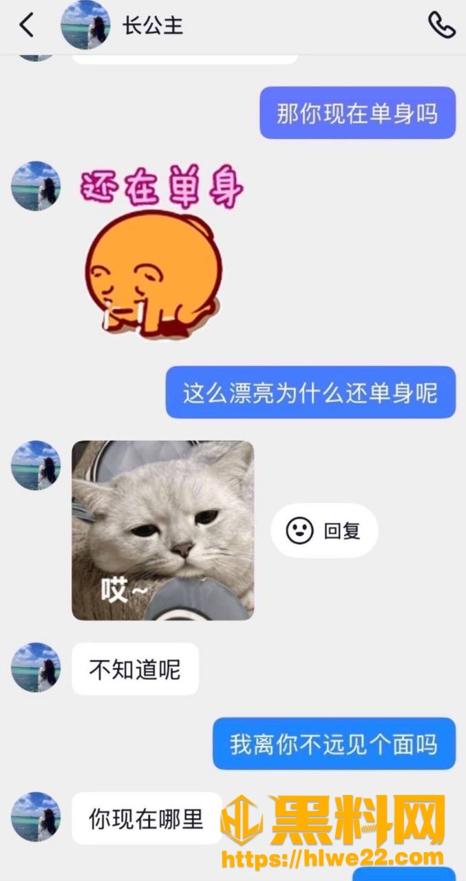 长公主聊天记录实锤 4