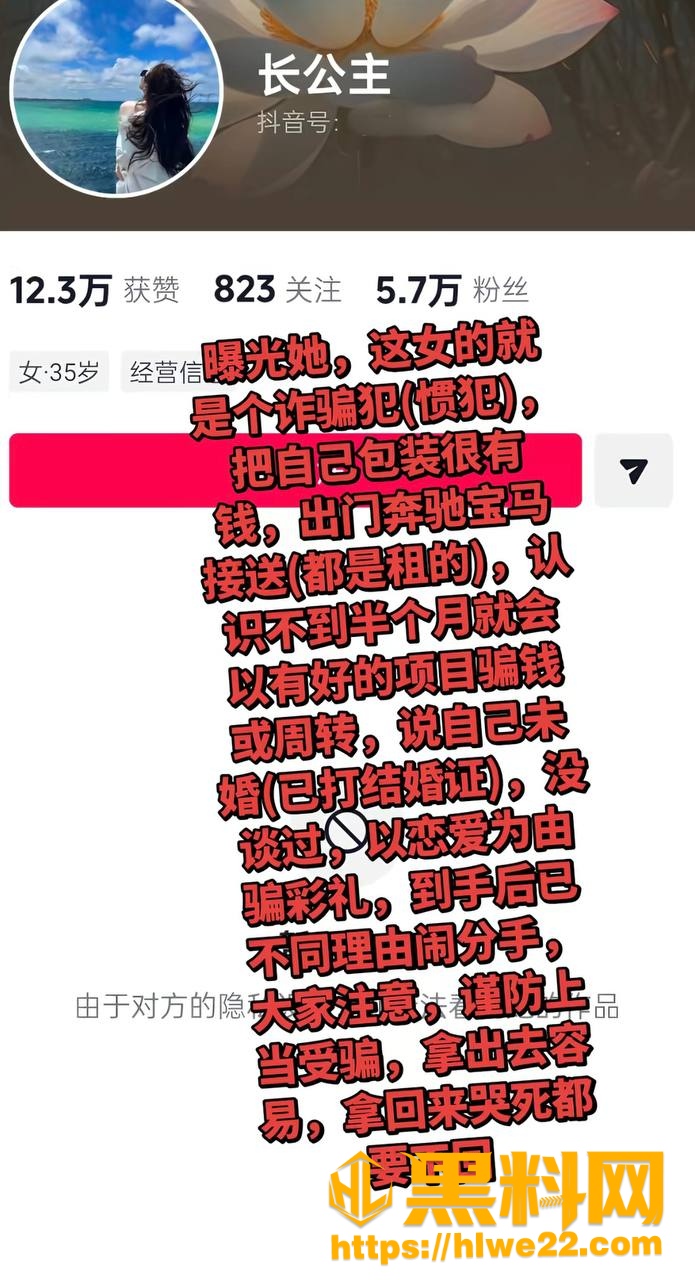 长公主多线操作曝光 4