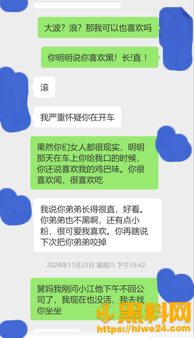 舅妈的爱情故事26