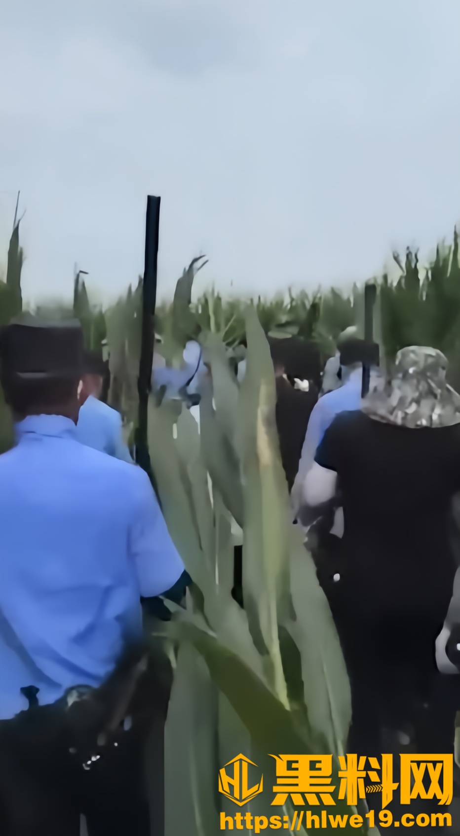 河南西平犯罪嫌疑人2