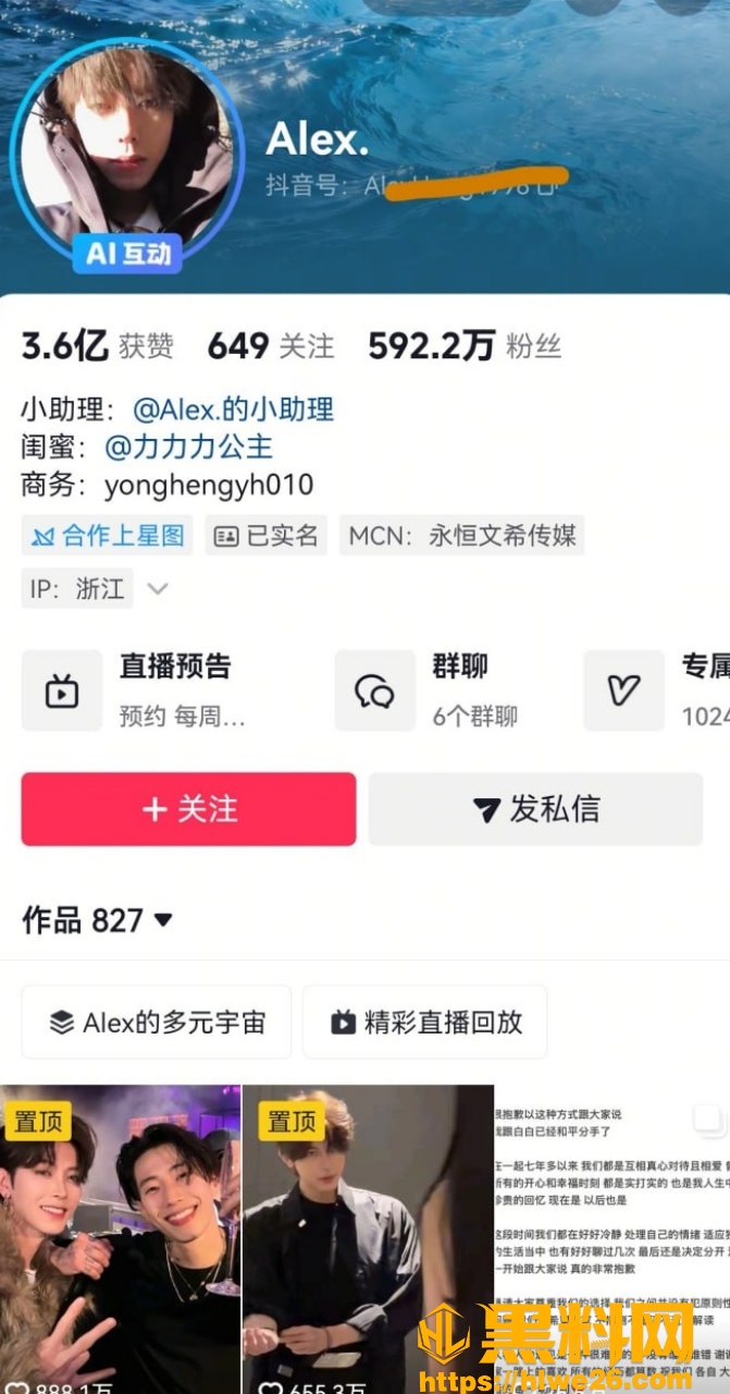 洪子力