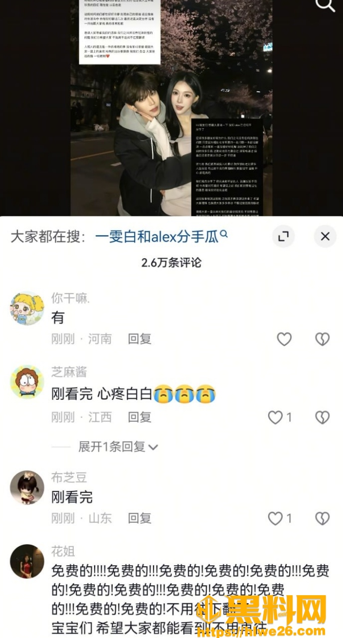 网红黑料