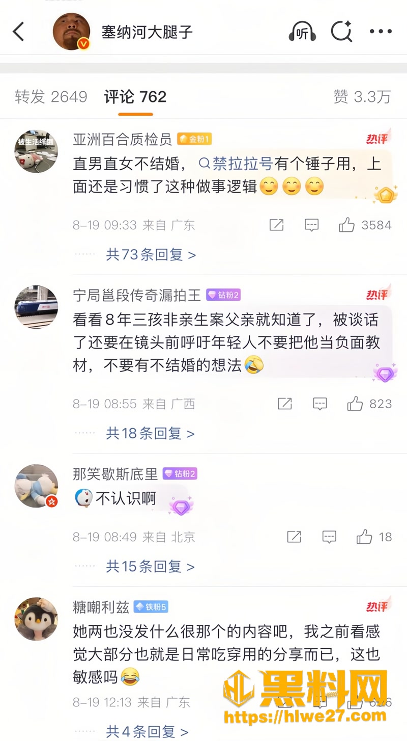 28SNH484 2wm