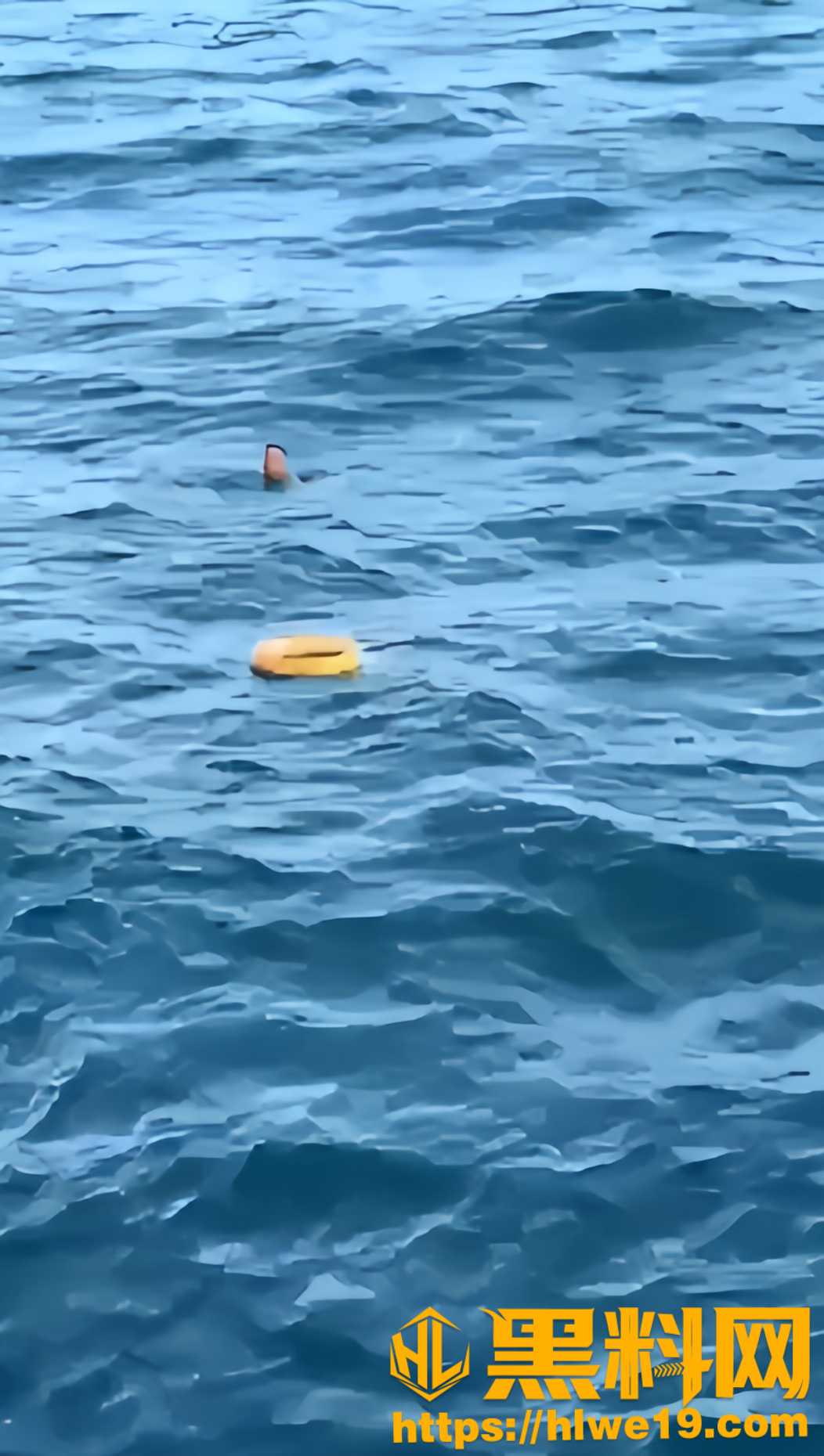崂山仰口海水浴场救援事件2