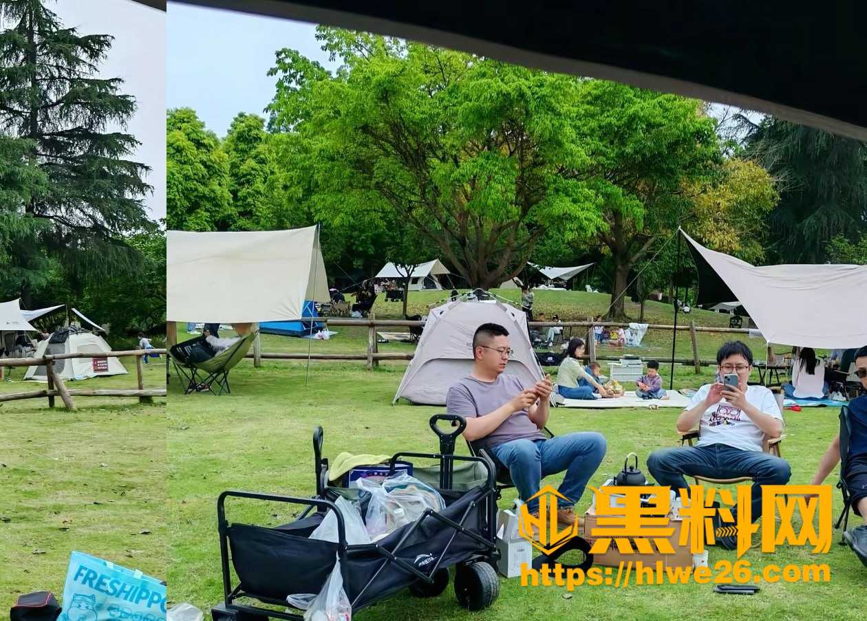 599露营深度团建
