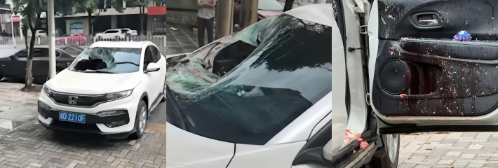 下载 20260901T134019