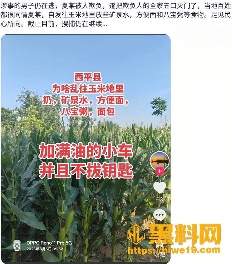 02河南西平谭店命案1 2wm