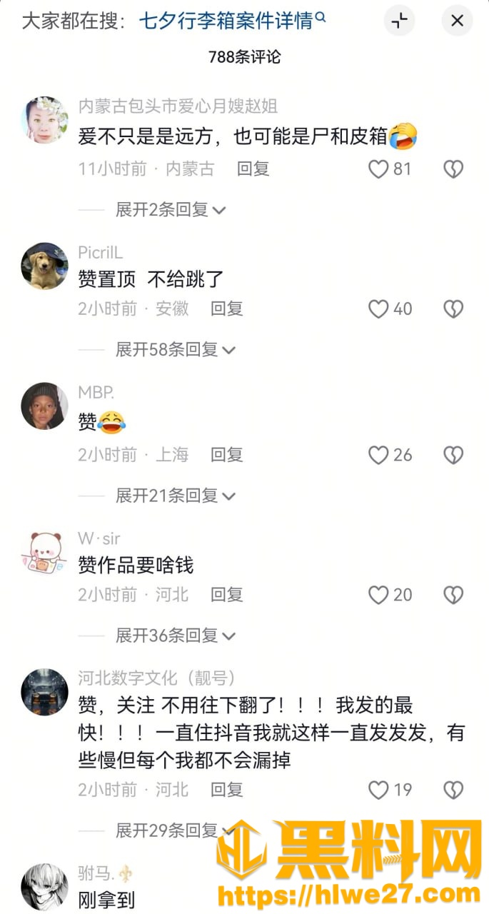 泰国行李箱藏尸案8