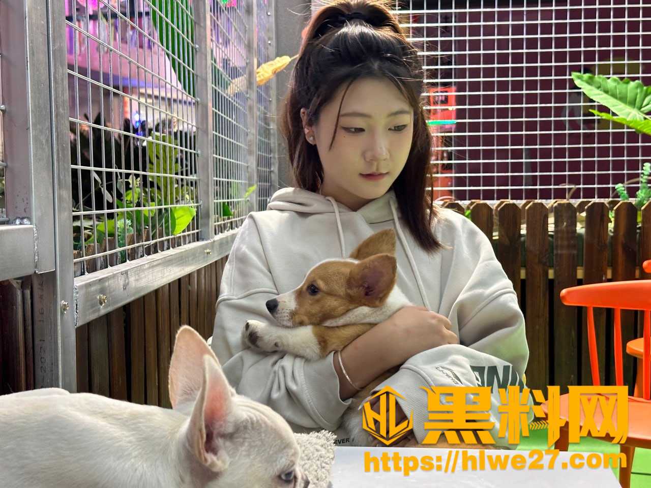 浙江大学最新大瓜