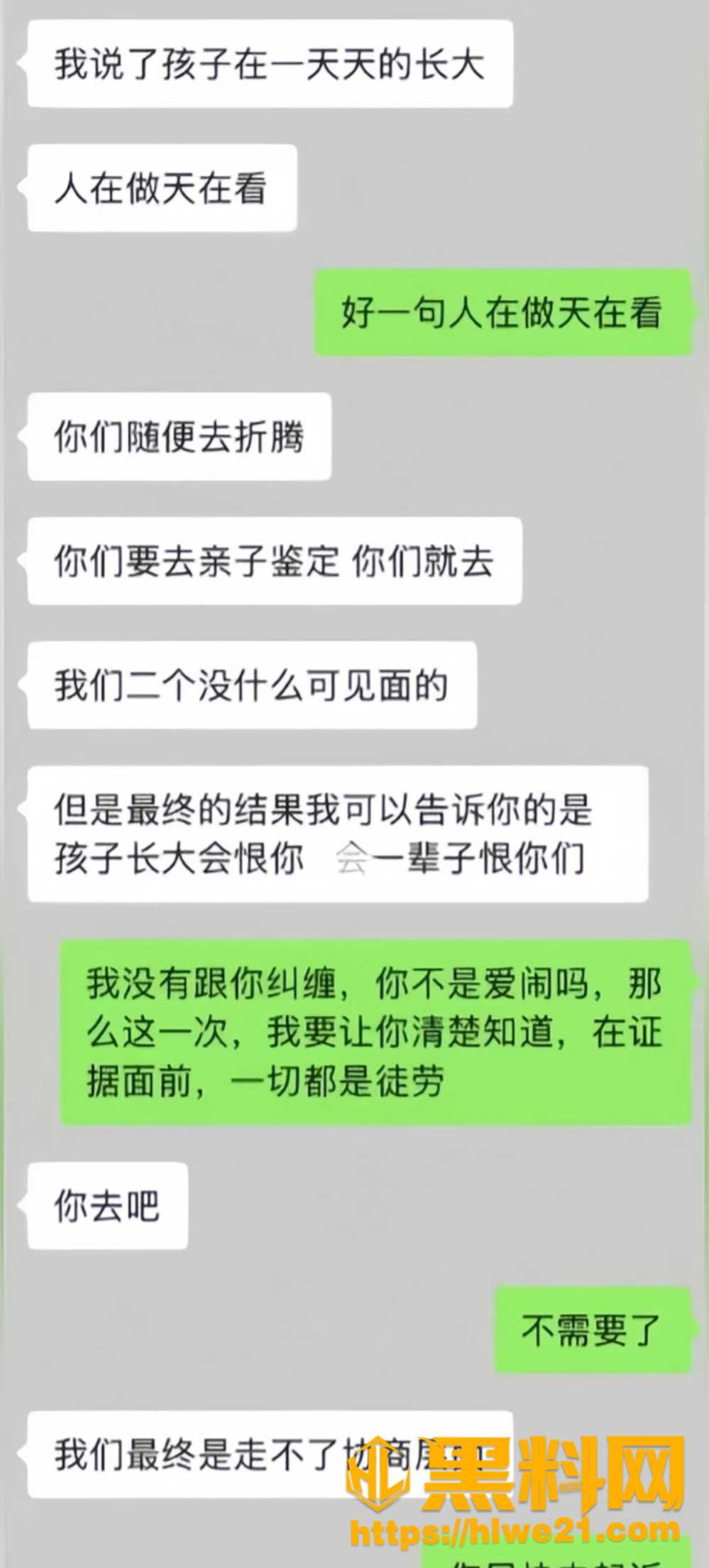 欺诈性抚养11