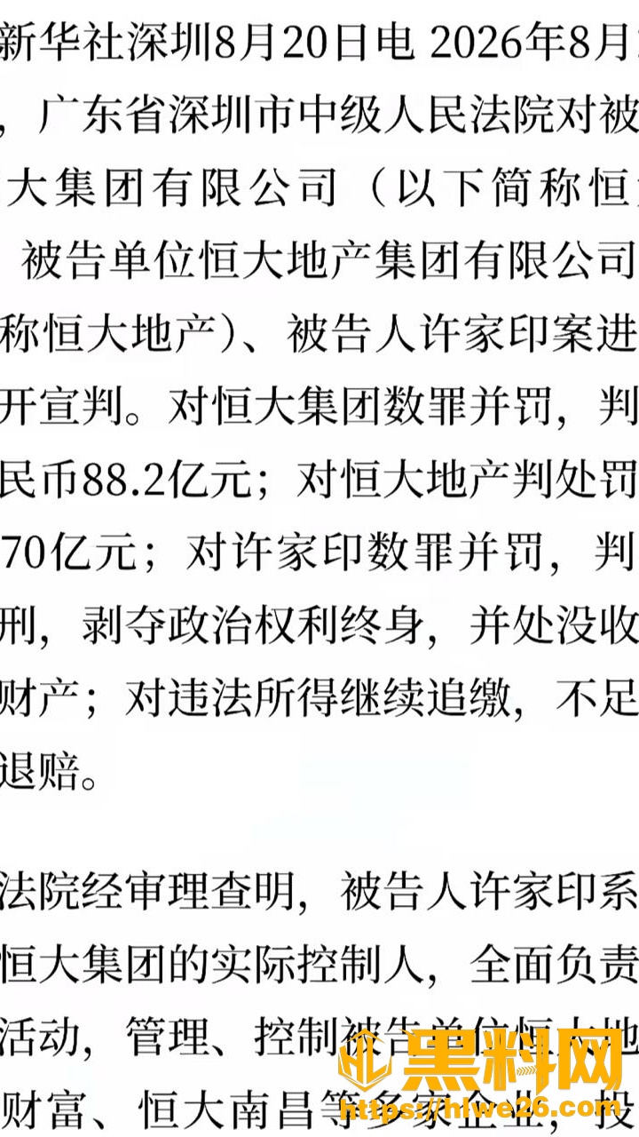 许家印无期徒刑6