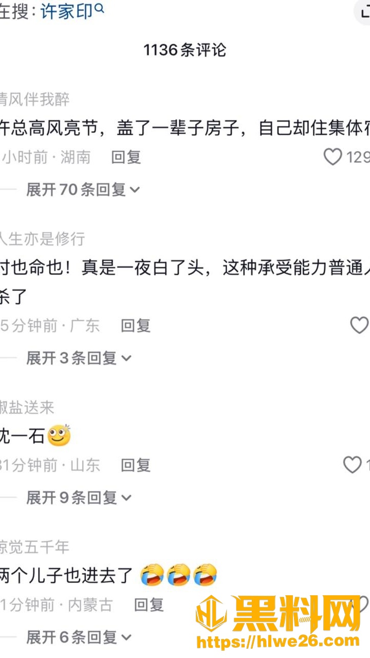 中国恒大许家印3